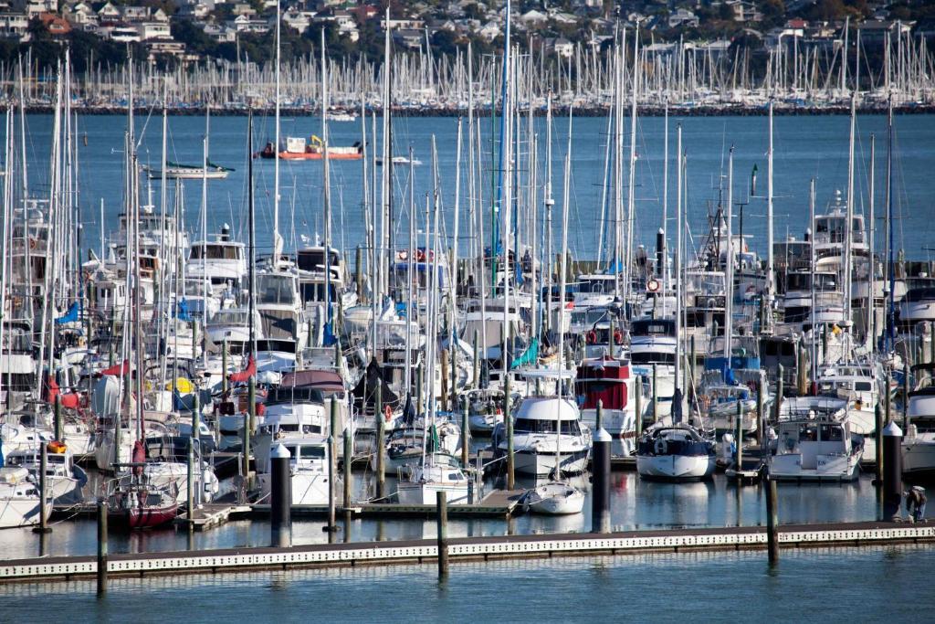 Vr Takapuna Auckland Extérieur photo The marina at Shelter Cove